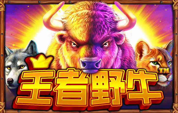 1122SUN:COM-WWW:1122SUN:COM截图3